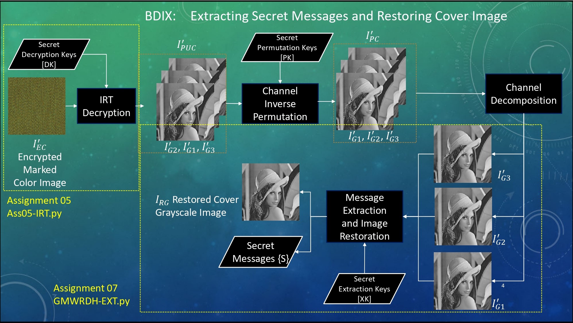 BDIX_gray_02.jpg
