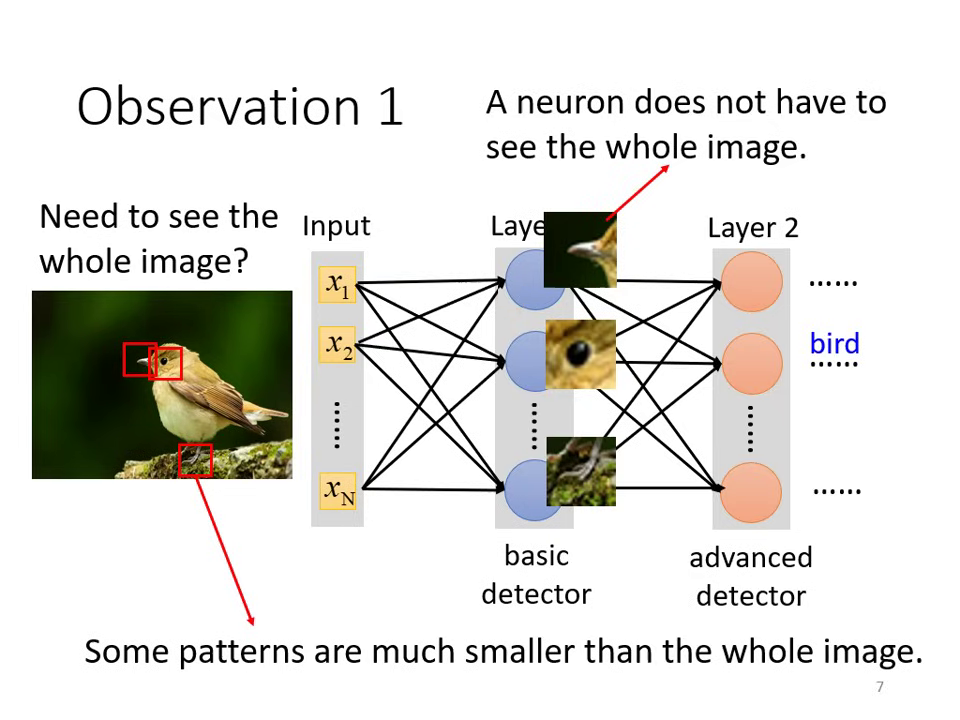 observation-1