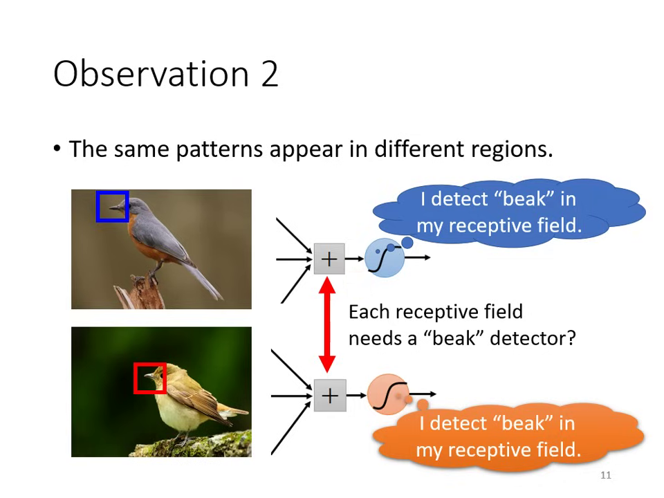 observation-2