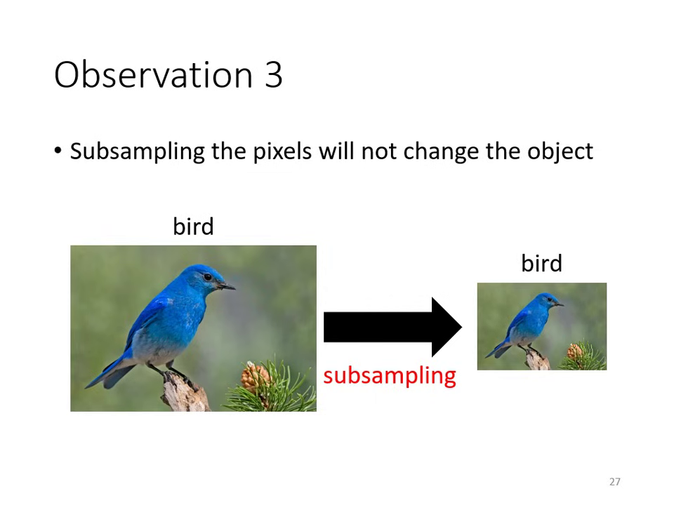 observation-3