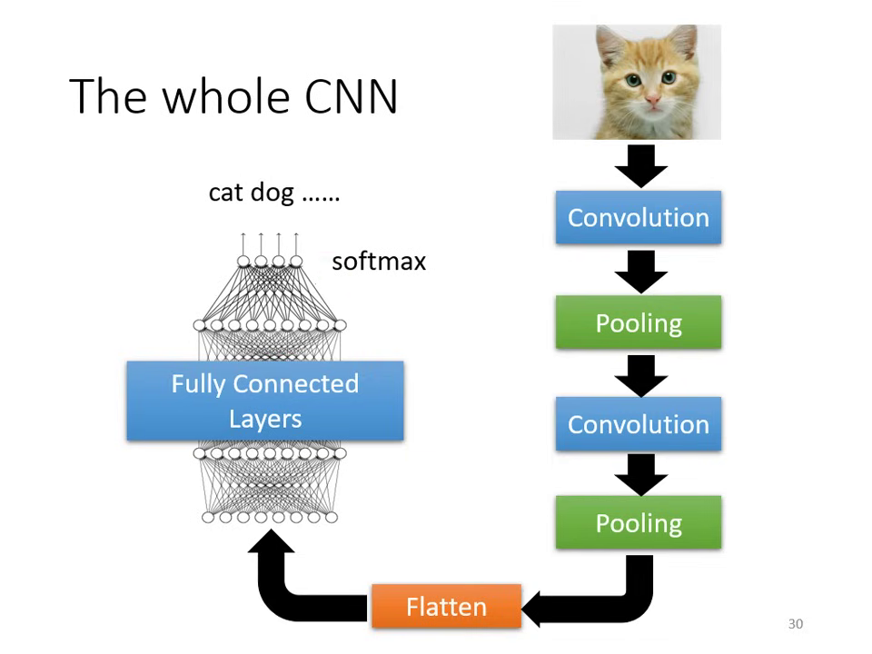 the-whole-cnn
